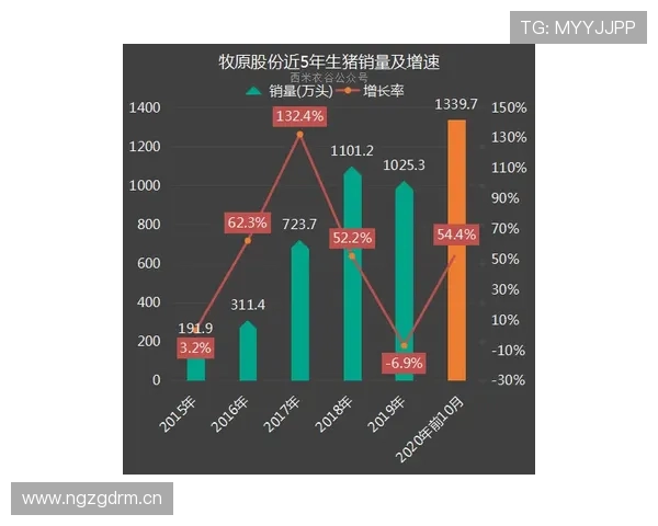 维尼修斯射门效率与数据贡献匹配度分析